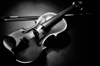 Viol N Wallpaper