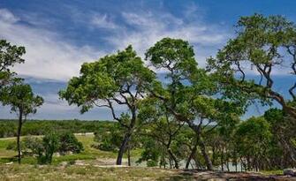 Wimberley Texas Hill Country Tattoo Design Bild