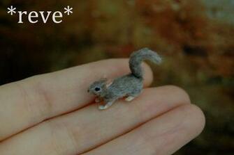 Baby Squirrel Wallpaper Miniature
