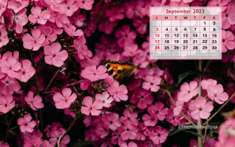 Calendar Wallpaper For HD Monthly