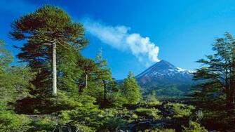 HD Wallpaper Desktop Photo High Definition
