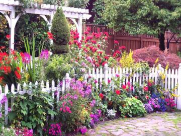 English Flower Garden Pictures Photos And Image For