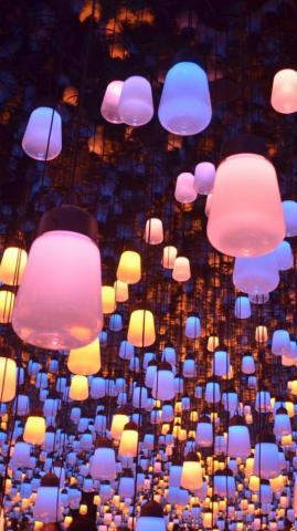 Decoration Night Lanterns Lighting Exhibition Wallpaper