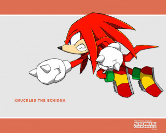 Knuckles The Echidna Wallpaper By Bloomsama