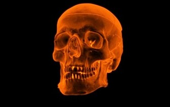 3d Fire Skull Wallpaper