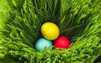 Easter Background Wallpaper High Definition Quality
