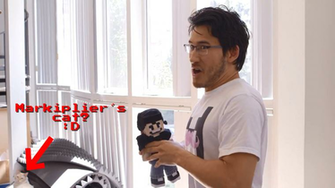Markiplier S Cat By Steffieneko