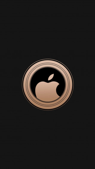 Amazing Apple S Bronze Logo In High Definition Wallpaper