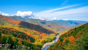 Appalachian State Wallpaper