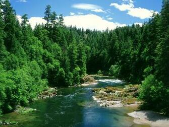 River And Creek Wallpaper Walllpapers Point