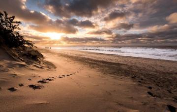 Wallpaper Beach Sunset Denmark Nsw Vrist Image For Desktop