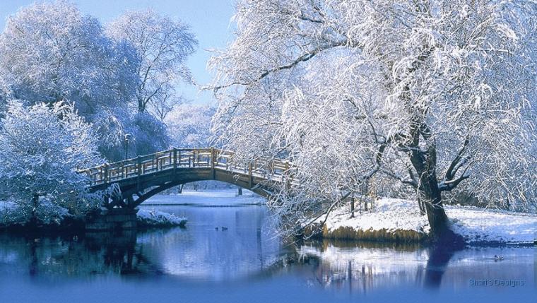 Wisdom Of Winter Ecard Scripture Job