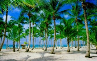 Dominican Republic Wallpaper