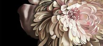 Ellie Cashman Wallpaper The Wonder In Us