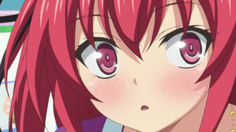 Visual Collection Series Premiere Shinmai Maou No Testament