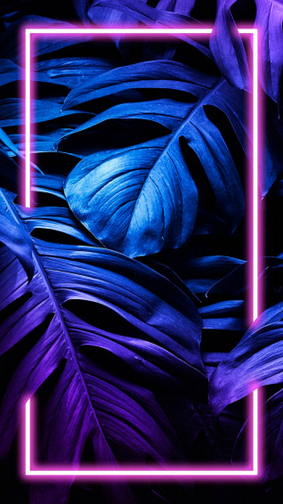 4k Neon iPhone Wallpaper