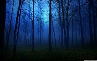 Night In The Forest 4k HD Desktop Wallpaper For Dual Monitor