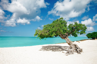Fun Experiences You Need To Have In The Caribbean Island Of