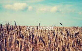 HD Wallpaper Desktop