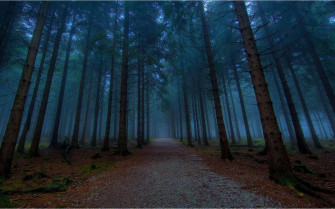 Twilight Aesthetic Wallpaper