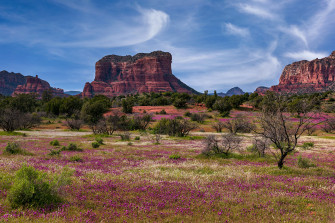 Desktop Wallpaper Usa Sedona Arizona Rock Spring Nature Trees