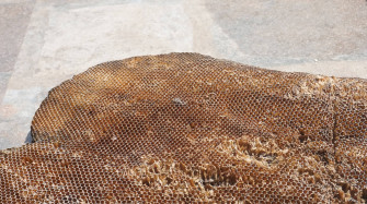 Honeycomb Wallpaper