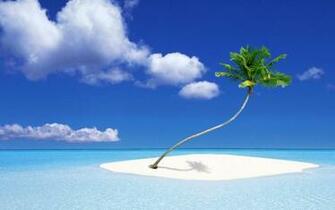 Summer Wallpaper Widescreen HD