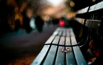 Windows Wallpaper Best