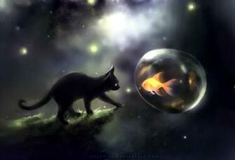 Cats Image Black Cat Wallpaper Photos