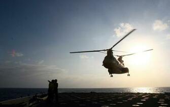 Chinook Wallpaper