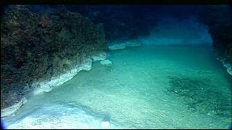 Ocean Floor Wallpaper
