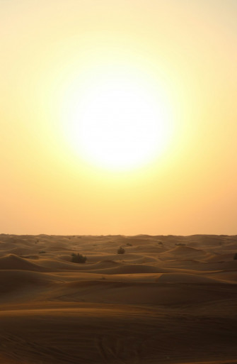 Desert Sun Picture Wallpaper