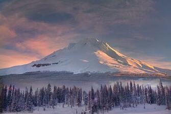 Wallpaper Mt Hood Winter Majesty Meadows Oregon