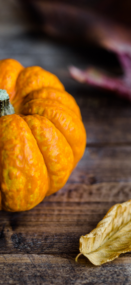 Pumpkin Wallpaper For iPhone