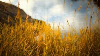 Nature Full HD Wallpaper 1080p Desktop Background