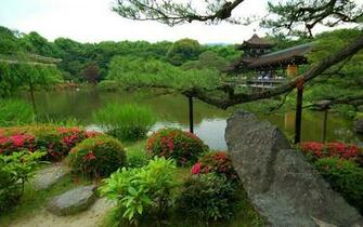 Japanese Nature Wallpaper