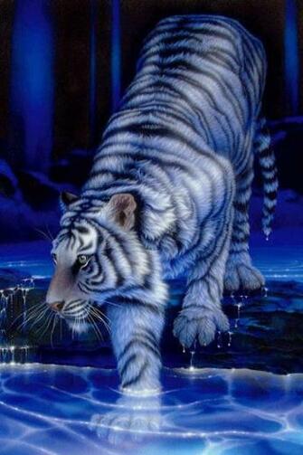 Cool Tiger iPhone Wallpaper Photo Galleries And