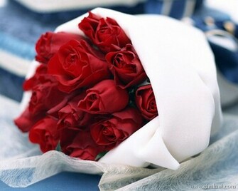 Red Rose Love Wallpaper HD For Walls Mobile Phone