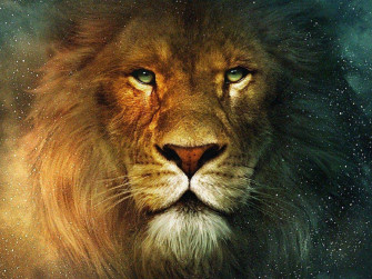 Top Lion Head Wallpaper Full HD 4k To Use