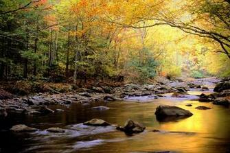 Great Smoky Mountains National Park Most Visited In