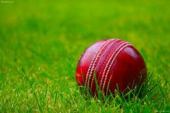 Fresh Cricket Image Xhf79 Quality HD Wallpaper
