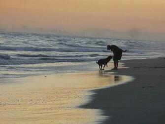 Man S Best Friend Picture Of Huntington Dog Beach