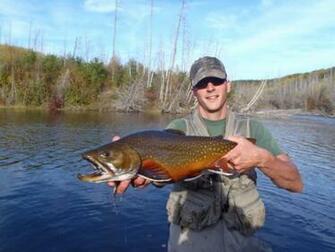Trophy Brook Trout Pictures