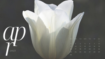 And Customizable Floral Desktop Wallpaper Templates