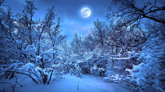 Earth Winter Moon 4k Wallpaper GamepHD