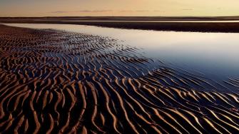 Nature First Encounter Beach Eastham Cape Cod Massachusetts