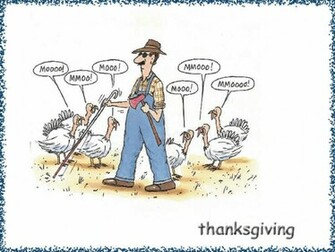 Funny Thanksgiving Wallpaper HD