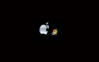 Funny Wallpaper