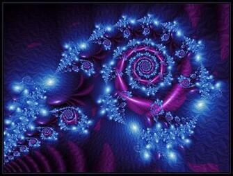 Beautyful Flowers Purple Rose Wallpaper