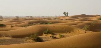Desert Scenes And Landscapes